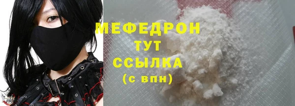 индика Абаза